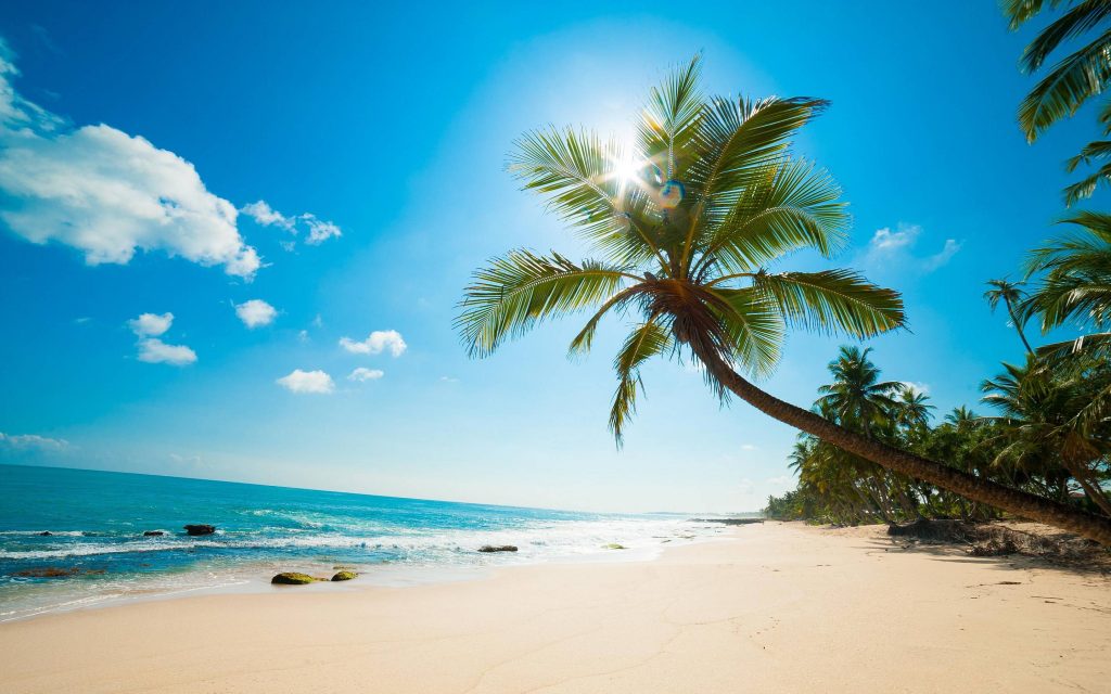 https://canabistravelguide.org/get-marijuana-in-sunny-beach/ get marijuana in Sunny Beach cannabis/weed in Sunny Beach